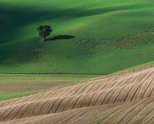 D_02 FZS srebrna_Rene Kračun_Tuscany 03