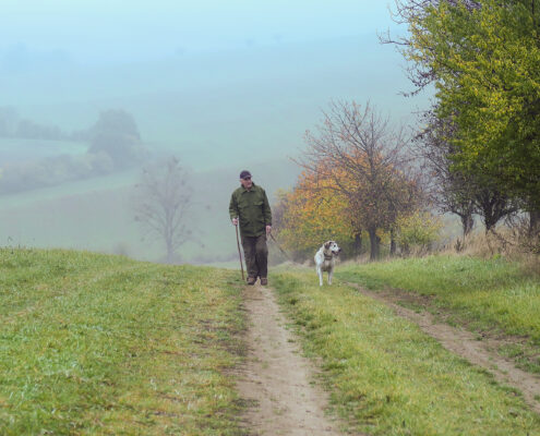 D_diploma_Tadej Črnič_Walking